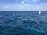Great day of scuba diving in Key Largo with Rainbow Reef on fire coral cave tropical legend 2017 07 08 r4456 1