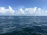 Great day of scuba diving in Key Largo with Rainbow Reef on french reef tropical explorer 2017 07 15 r4492 1