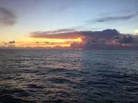 Great day of scuba diving in Key Largo with Rainbow Reef on french reef tropical legend 2017 07 27 r4552 1