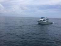 Great day of scuba diving in Key Largo with Rainbow Reef on french reef tropical odyssey 2017 07 24 r4536 1