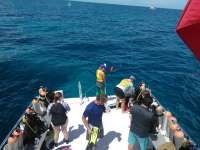 Great day of scuba diving in Key Largo with Rainbow Reef on french reef tropical voyager 2017 07 28 r4557 1