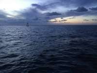 Great day of scuba diving in Key Largo with Rainbow Reef on hole in the wall tropical legend 2017 07 11 r4479 1