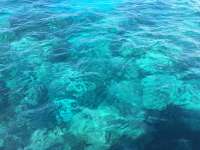 Great day of scuba diving in Key Largo with Rainbow Reef on hole in the wall tropical voyager 2017 07 08 r4459 1