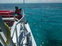 Great day of scuba diving in Key Largo with Rainbow Reef on minnow cave tropical odyssey 2017 07 03 r4432 1