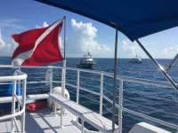 Great day of scuba diving in Key Largo with Rainbow Reef on molasses reef tropical adventure 2017 07 15 r4491 1