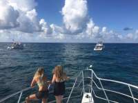 Great day of scuba diving in Key Largo with Rainbow Reef on molasses reef tropical adventure 2017 07 17 r4507 1