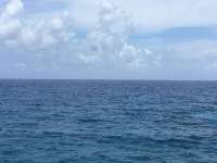 Great day of scuba diving in Key Largo with Rainbow Reef on molasses reef tropical legend 2017 07 07 r4455 1