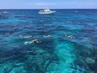 Great day of scuba diving in Key Largo with Rainbow Reef on molasses reef tropical legend 2017 07 11 r4477 1