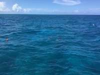 Great day of scuba diving in Key Largo with Rainbow Reef on molasses reef tropical legend 2017 07 14 r4489 1