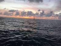 Great day of scuba diving in Key Largo with Rainbow Reef on molasses reef tropical odyssey 2017 07 25 r4542 1