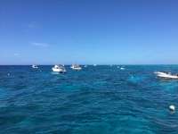 Great day of scuba diving in Key Largo with Rainbow Reef on molasses reef tropical voyager 2017 07 03 r4430 1