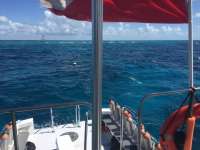 Great day of scuba diving in Key Largo with Rainbow Reef on molasses reef tropical voyager 2017 07 05 r4442 1