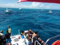 Great day of scuba diving in Key Largo with Rainbow Reef on molasses reef tropical voyager 2017 07 14 r4488 1
