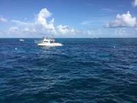 Great day of scuba diving in Key Largo with Rainbow Reef on molasses reef tropical voyager 2017 07 15 r4490 1