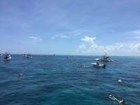 Great day of scuba diving in Key Largo with Rainbow Reef on molasses reef tropical voyager 2017 07 20 r4517 1