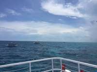 Great day of scuba diving in Key Largo with Rainbow Reef on north star tropical adventure 2017 07 13 r4485 1