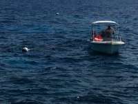 Great day of scuba diving in Key Largo with Rainbow Reef on permit ledges tropical legend 2017 07 06 r4451 1