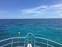 Great day of scuba diving in Key Largo with Rainbow Reef on pillar coral tropical legend 2017 07 28 r4555 1