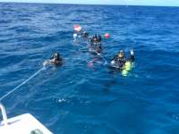 Great day of scuba diving in Key Largo with Rainbow Reef on rebreather drift mo tropical explorer 2017 07 09 r4469 1