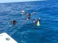 Great day of scuba diving in Key Largo with Rainbow Reef on rebreather drift mo tropical explorer 2017 07 09 r4469 2