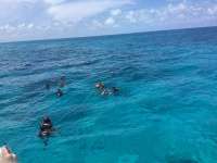 Great day of scuba diving in Key Largo with Rainbow Reef on sand island tropical voyager 2017 07 18 r4511 1