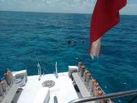 Great day of scuba diving in Key Largo with Rainbow Reef on snapper ledge tropical voyager 2017 07 06 r4450 1