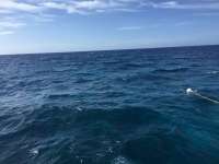 Great day of scuba diving in Key Largo with Rainbow Reef on spanish anchor tropical voyager 2017 07 03 r4427 1