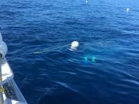 Great day of scuba diving in Key Largo with Rainbow Reef on spiegel grove tropical odyssey 2017 07 20 r4514 1