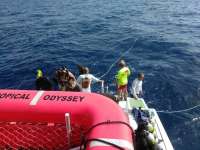 Great day of scuba diving in Key Largo with Rainbow Reef on spiegel grove tropical odyssey 2017 07 22 r4526 1