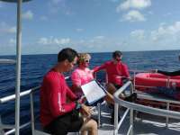 Great day of scuba diving in Key Largo with Rainbow Reef on spiegel grove tropical odyssey 2017 07 29 r4559 1
