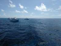Great day of scuba diving in Key Largo with Rainbow Reef on uscgc duane tropical odyssey 2017 07 03 r4428 1