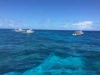 Great day of scuba diving in Key Largo with Rainbow Reef on winch hole tropical voyager 2017 07 05 r4444 1