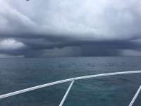 Great day of scuba diving in Key Largo with Rainbow Reef on conch wall tropical explorer 2017 06 04 r4309 1