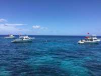 Great day of scuba diving in Key Largo with Rainbow Reef on eagle ray alley tropical odyssey 2017 06 27 r4395 1