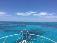 Great day of scuba diving in Key Largo with Rainbow Reef on fire coral cave tropical adventure 2017 06 29 r4404 1