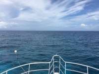 Great day of scuba diving in Key Largo with Rainbow Reef on fire coral cave tropical legend 2017 06 14 r4343 1