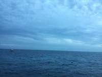 Great day of scuba diving in Key Largo with Rainbow Reef on french reef tropical legend 2017 06 03 r4307 1