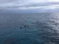 Great day of scuba diving in Key Largo with Rainbow Reef on french reef tropical legend 2017 06 04 r4308 1