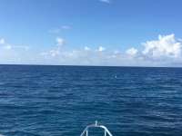 Great day of scuba diving in Key Largo with Rainbow Reef on french reef tropical legend 2017 06 27 r4391 1