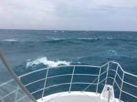 Great day of scuba diving in Key Largo with Rainbow Reef on french reef tropical odyssey 2017 06 08 r4317 2