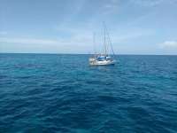 Great day of scuba diving in Key Largo with Rainbow Reef on french reef tropical voyager 2017 06 17 r4357 1
