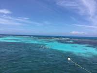 Great day of scuba diving in Key Largo with Rainbow Reef on grecian rocks tropical voyager 2017 06 11 r4331 1