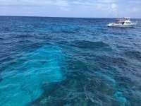 Great day of scuba diving in Key Largo with Rainbow Reef on hole in the wall tropical legend 2017 06 01 r4295 2