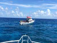 Great day of scuba diving in Key Largo with Rainbow Reef on molasses reef tropical adventure 2017 06 25 r4387 1