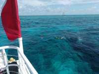 Great day of scuba diving in Key Largo with Rainbow Reef on molasses reef tropical adventure 2017 06 30 r4408 1