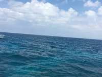 Great day of scuba diving in Key Largo with Rainbow Reef on molasses reef tropical legend 2017 06 09 r4319 1