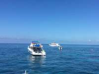 Great day of scuba diving in Key Largo with Rainbow Reef on molasses reef tropical legend 2017 06 29 r4403 1