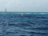 Great day of scuba diving in Key Largo with Rainbow Reef on molasses reef tropical odyssey 2017 06 21 r4362 1
