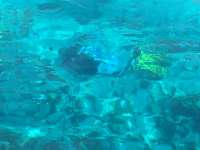 Great day of scuba diving in Key Largo with Rainbow Reef on pillar coral tropical voyager 2017 06 16 r4350 1