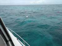 Great day of scuba diving in Key Largo with Rainbow Reef on sand island tropical voyager 2017 06 12 r4335 1